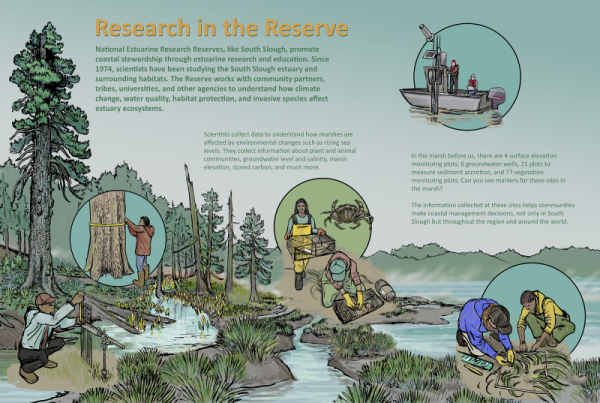 Research on the Reserve in Interpretive Panels